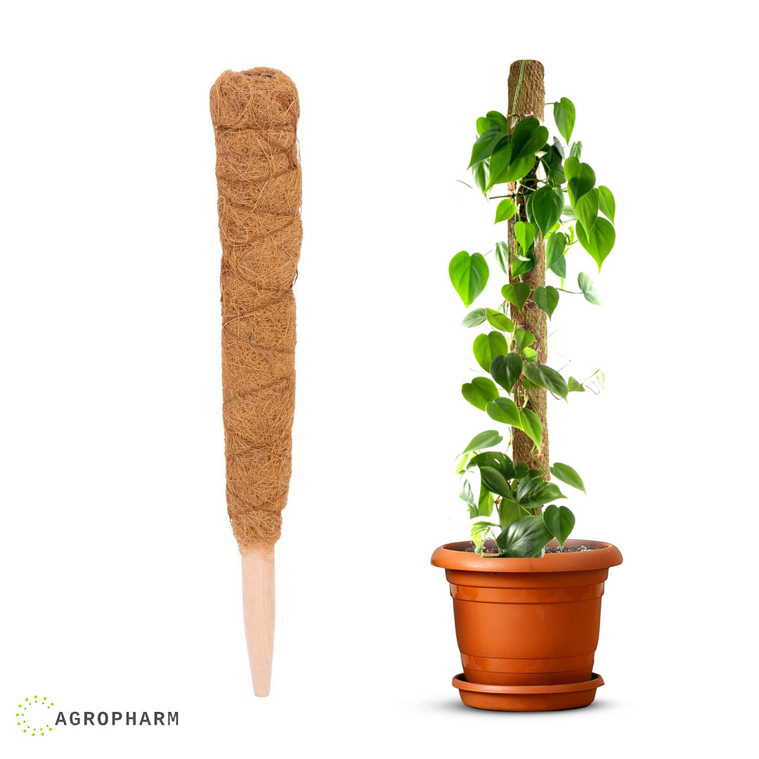 Kokosov štap za biljke 90cm COCO