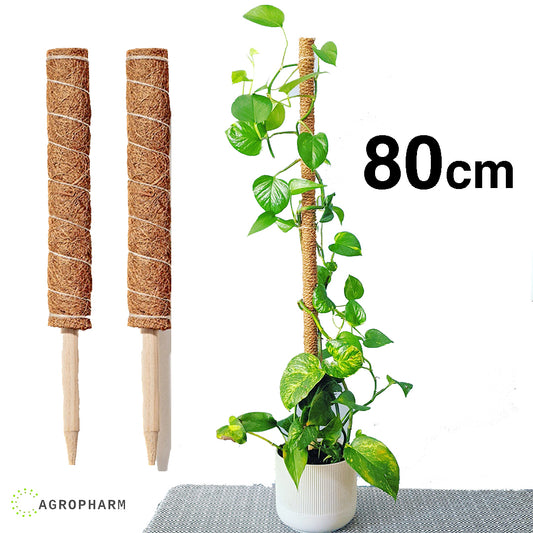 Kokosov naslon za biljke 80cm