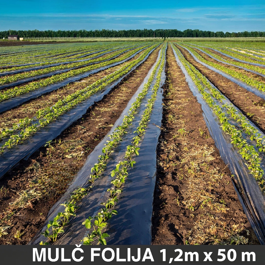 Malc folija 1,2x50 metara bez rupa