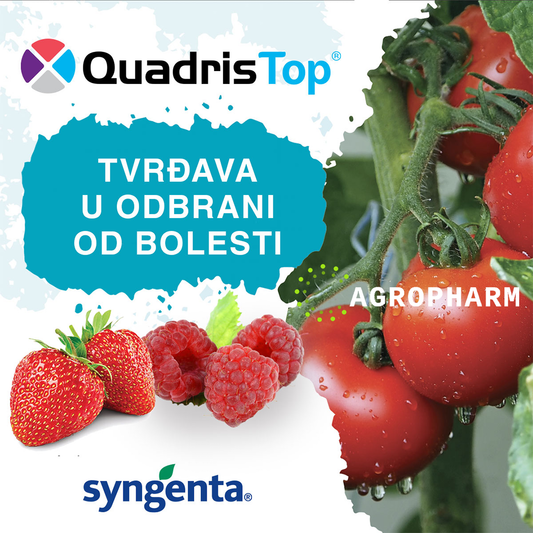 Quadris Top 1l