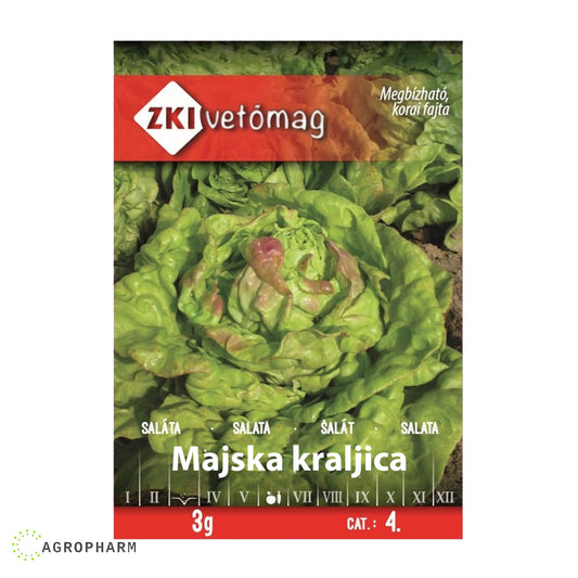 Salata Majska Kraljica 3gr Seme ZKI