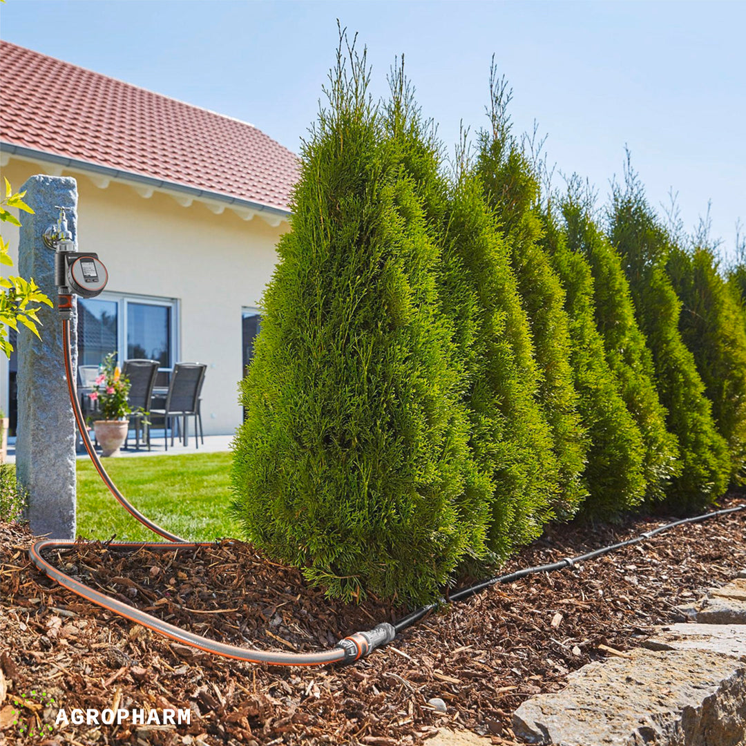 Crevo za zalivanje tuja Gardena