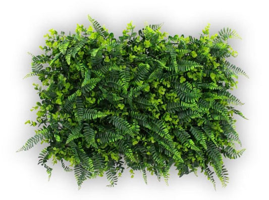 Zeleni zid 60cmx40cm