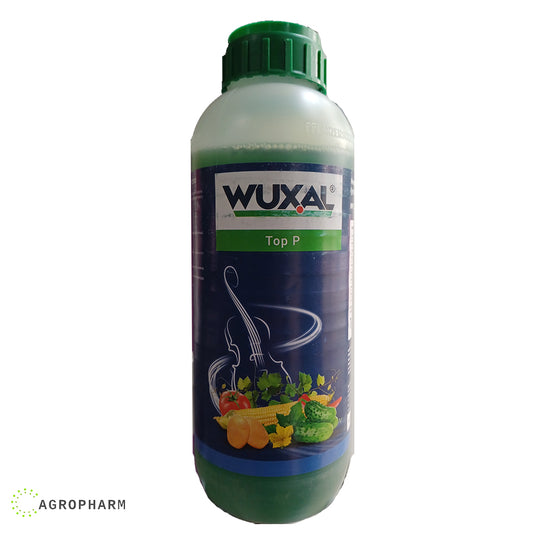 Wuxal Top P 1l