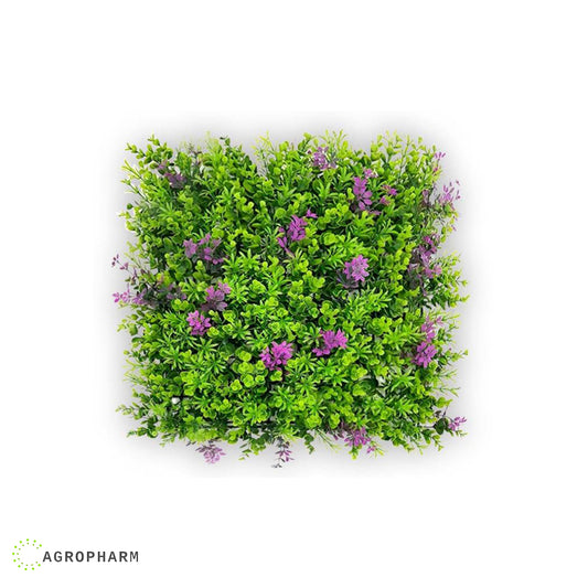 Zeleni zid 50cmx50cm