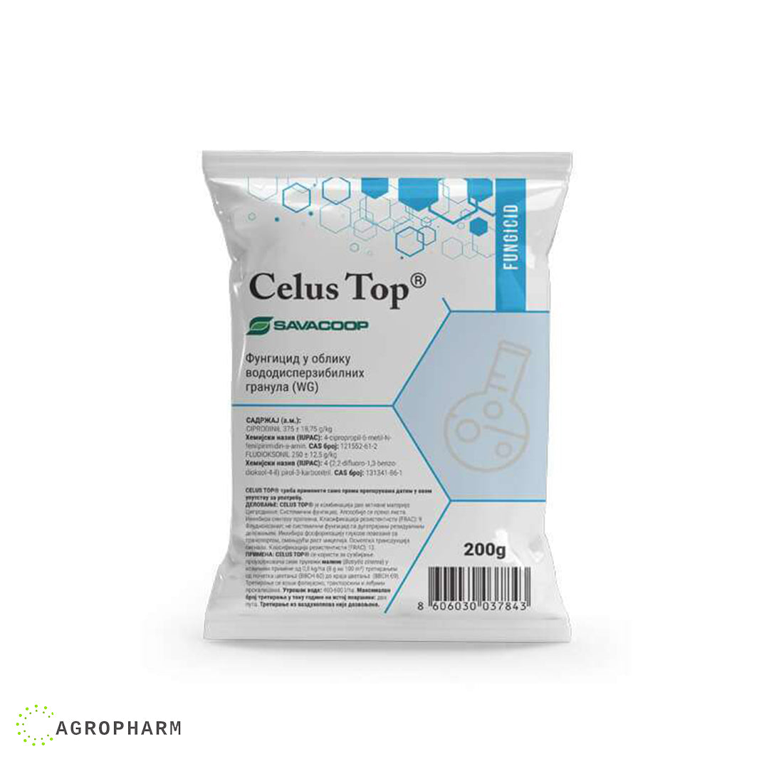 Celus Top WG