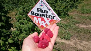 Ekobooster Max 1l - Organsko tečno đubrivo