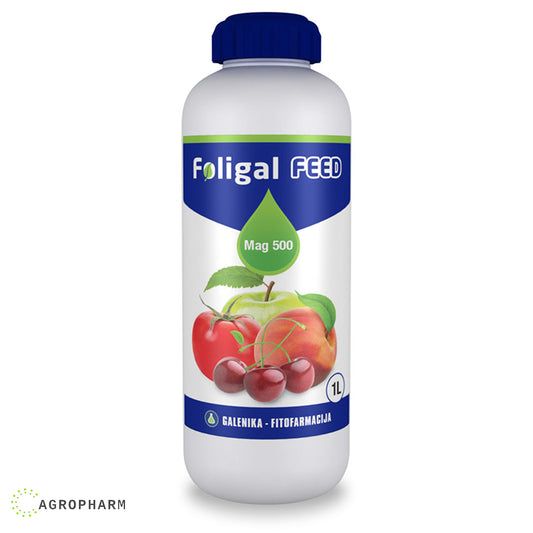 Foligal Feed Mag 500 1/1