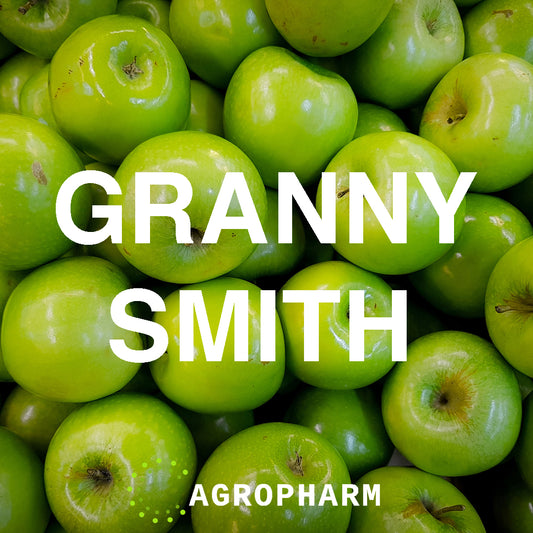 Jabuka Granny Smith Sadnica Voca