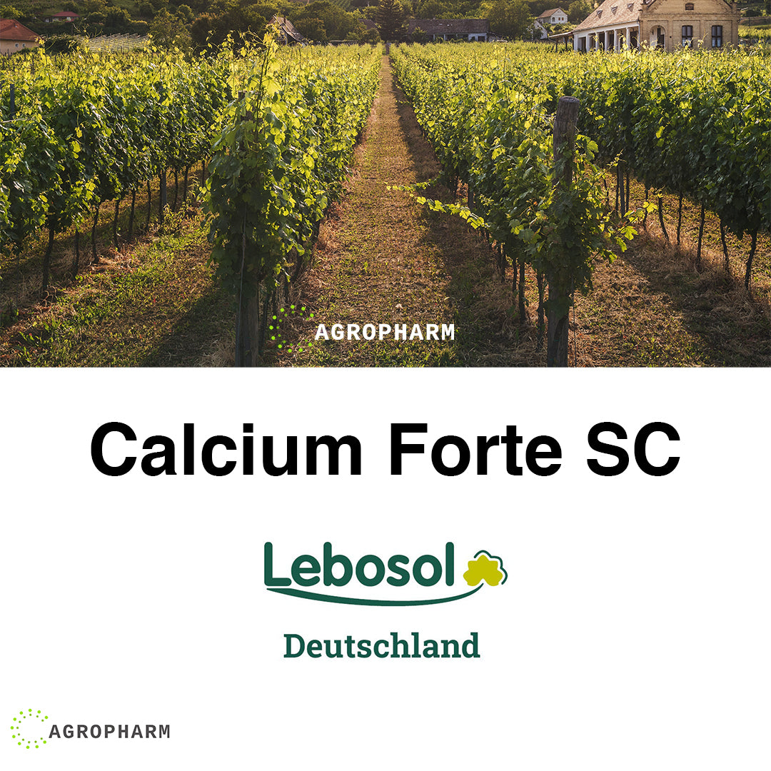 Lebosol Calcium Forte SC 10l - Kalcijum