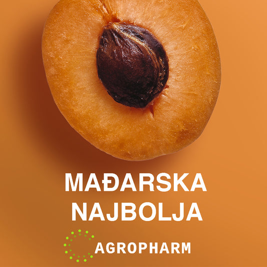 Kajsija Mađarska Najbolja Sadnica Voca