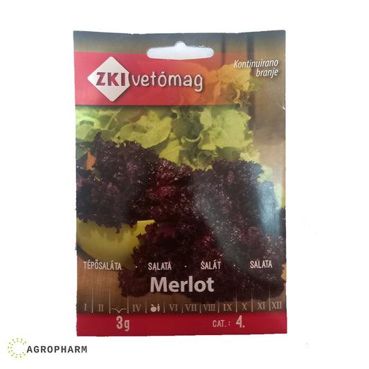 Salata Merlot Ljubičasta 3gr Seme ZKI